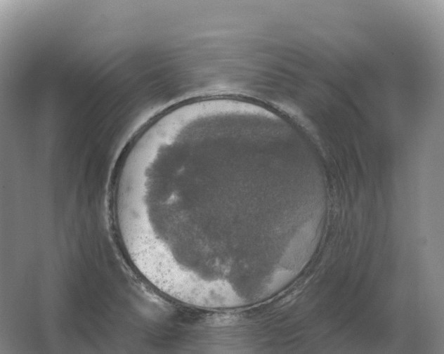 X0000064741278200602241743