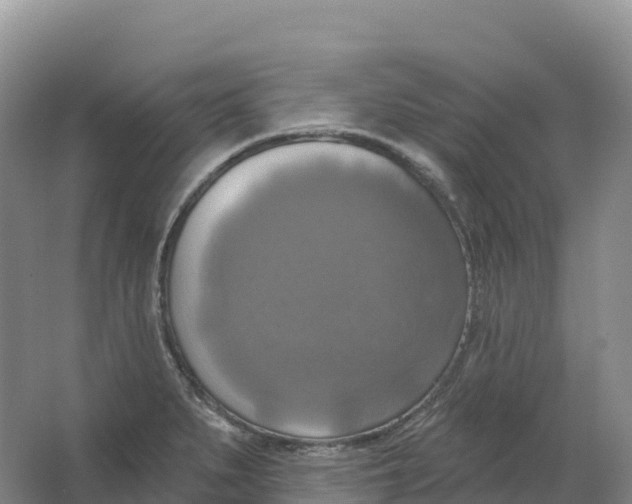 X0000064741279200602241743