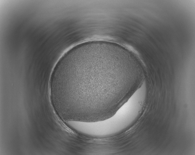 X0000064741280200602241743