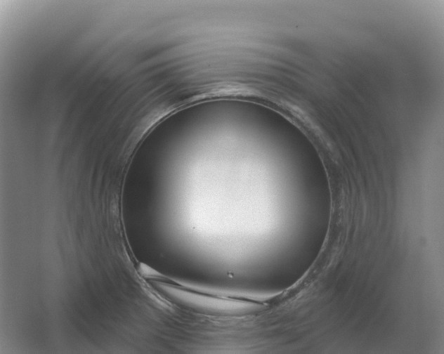 X0000064741281200602241743