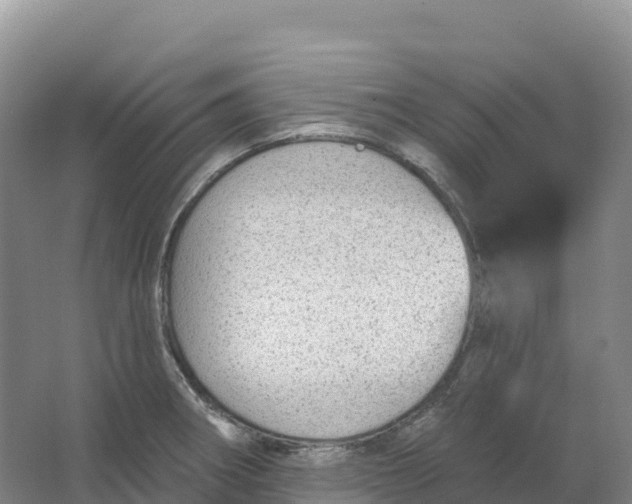 X0000064741282200602241743