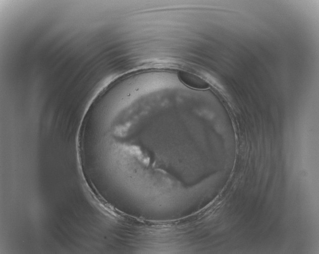 X0000064741283200602241743