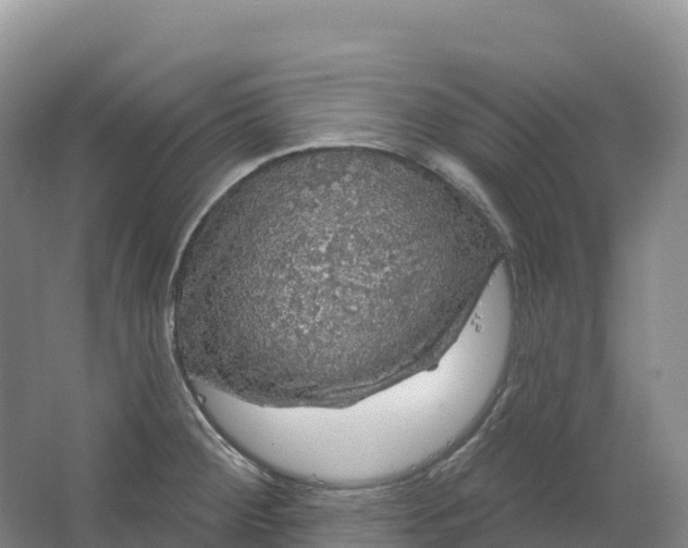 X0000064741284200602241743