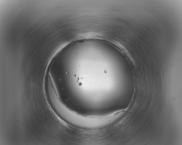 X0000064741285200602241743