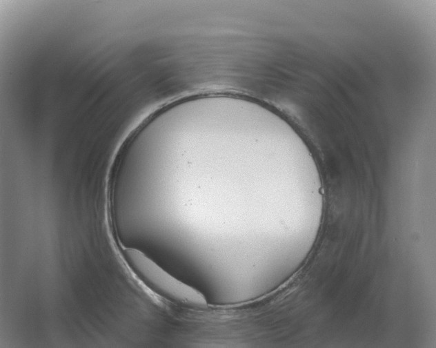 X0000064741286200602241743