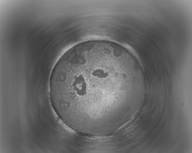 X0000064741287200602241743