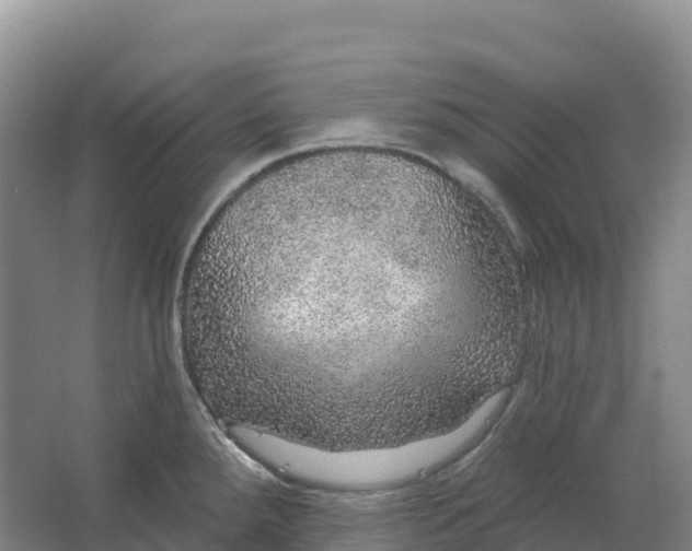 X0000064741288200602241743