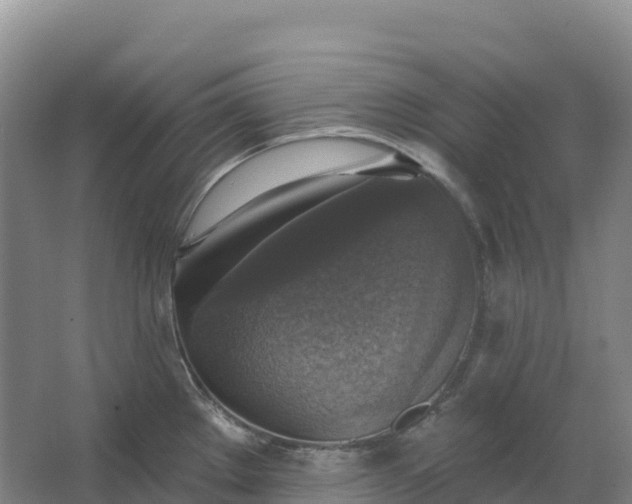 X0000064741289200602241743