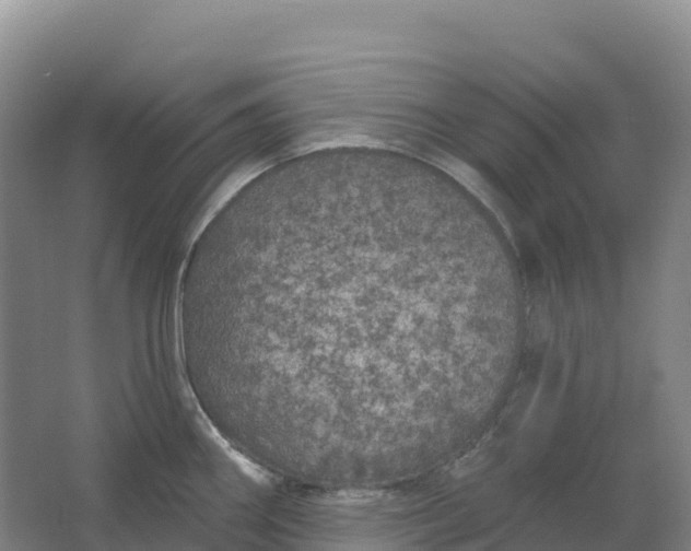 X0000064741290200602241743