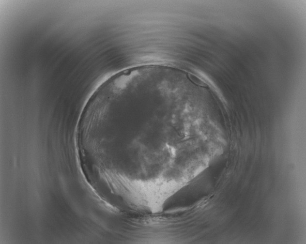 X0000064741291200602241743