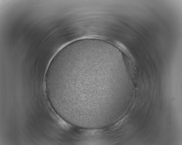 X0000064741292200602241742