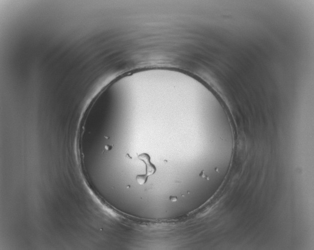 X0000064741293200602241742