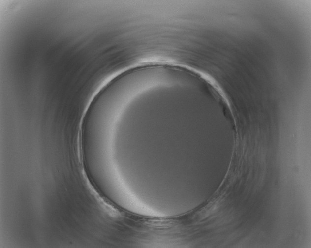 X0000064741295200602241742