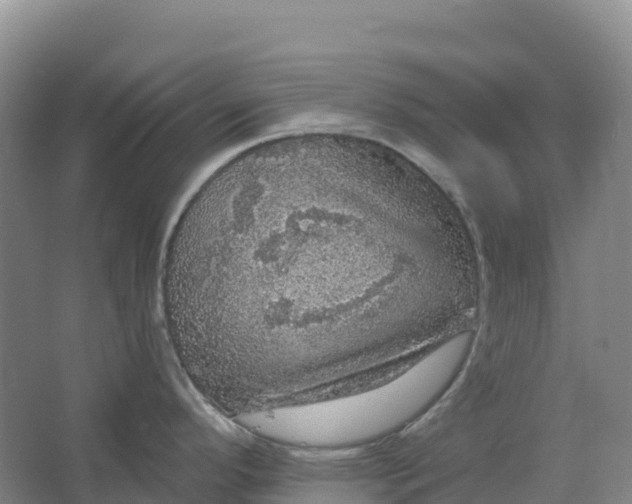 X0000064741296200602241742