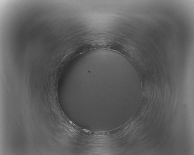 X0000064741297200602241741