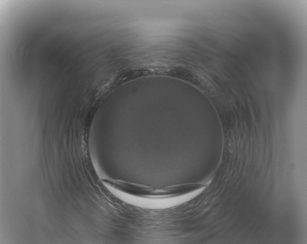 X0000064741298200602241741