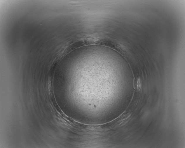 X0000064741299200602241741