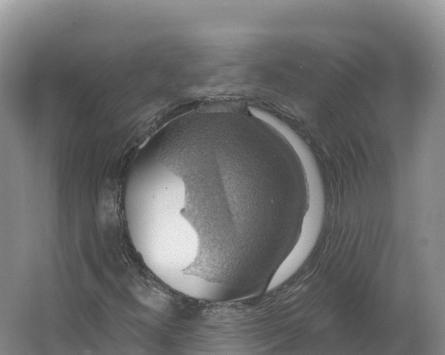 X0000064741300200602241741