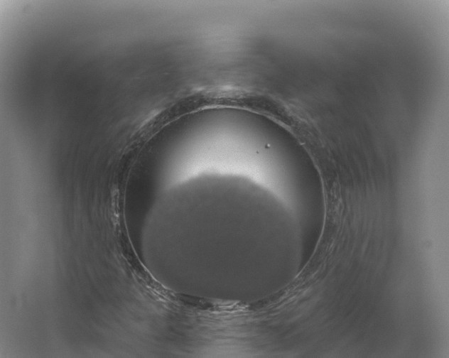 X0000064741301200602241741