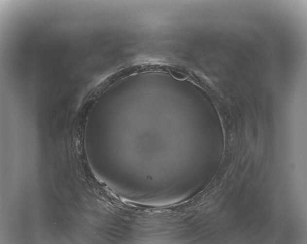 X0000064741303200602241741