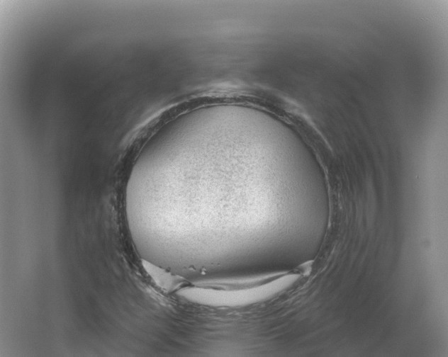 X0000064741304200602241741