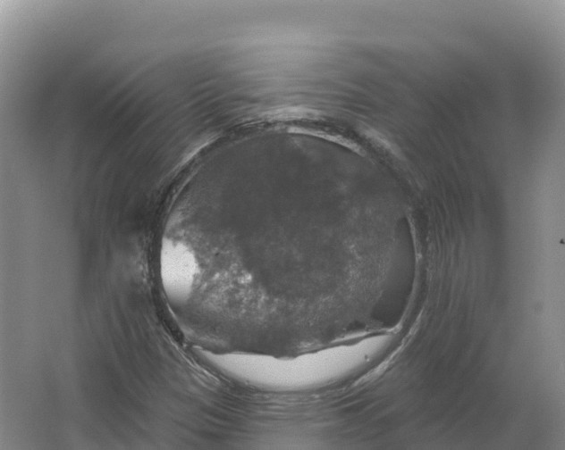 X0000064741305200602241741