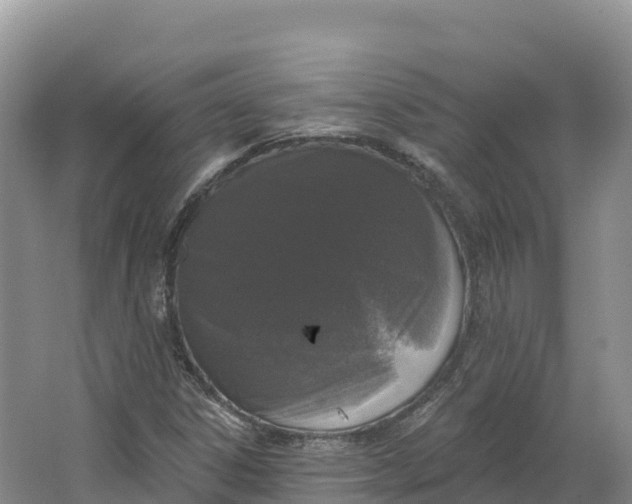 X0000064741306200602241741