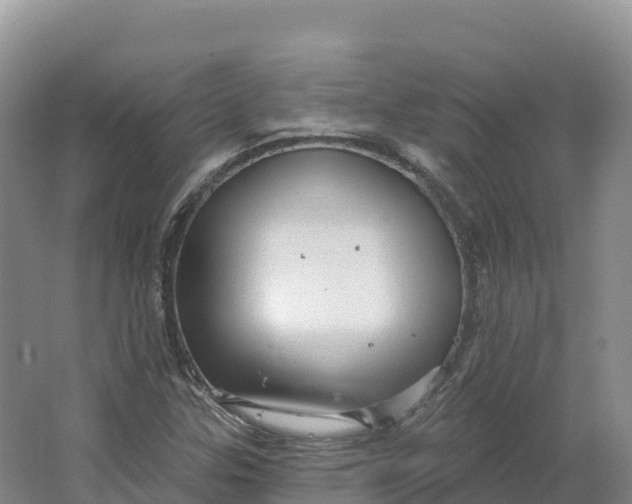 X0000064741307200602241741