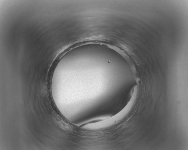 X0000064741308200602241741