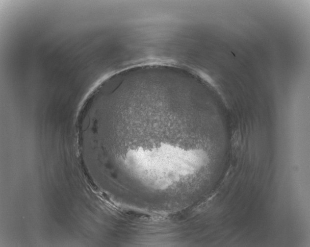 X0000064741310200602241741