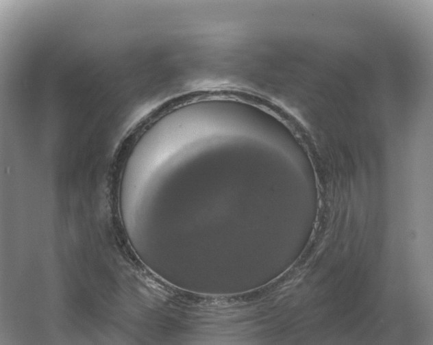 X0000064741311200602241742