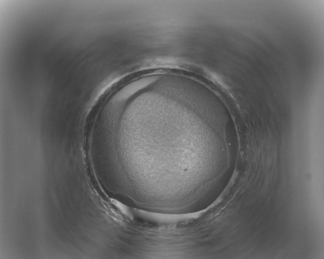 X0000064741312200602241742