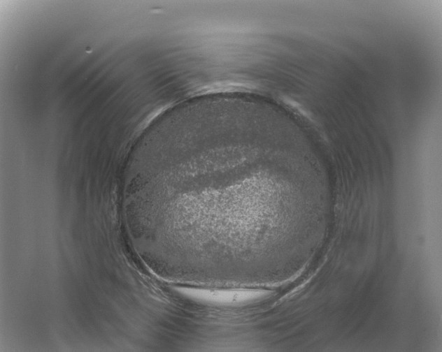 X0000064741313200602241742