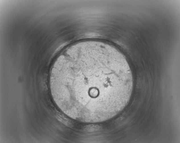 X0000064741314200602241742