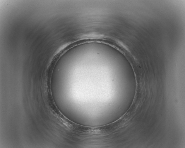 X0000064741315200602241742