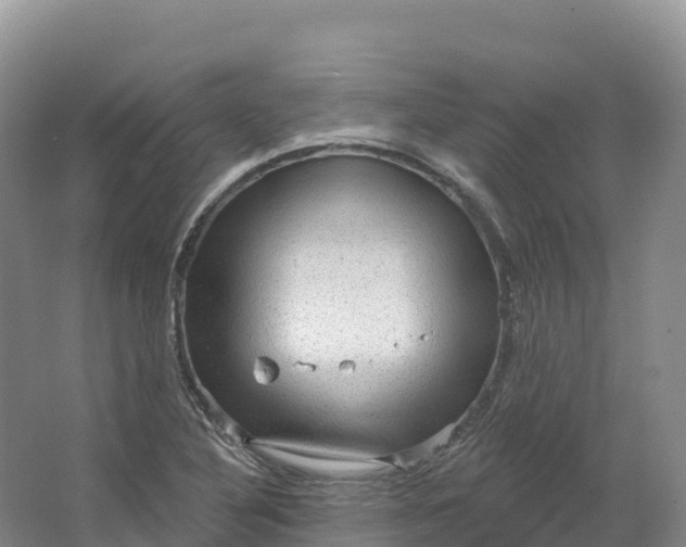 X0000064741316200602241742