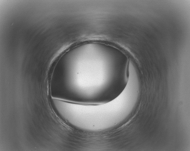 X0000064741317200602241742