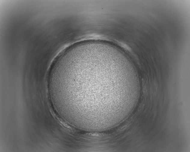 X0000064741318200602241742