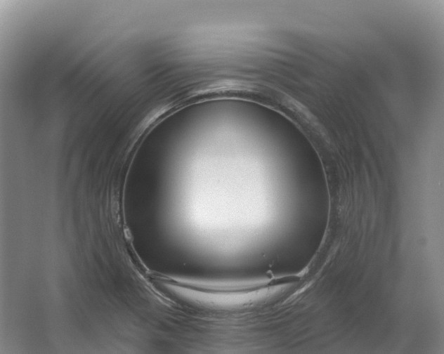 X0000064741321200602241742