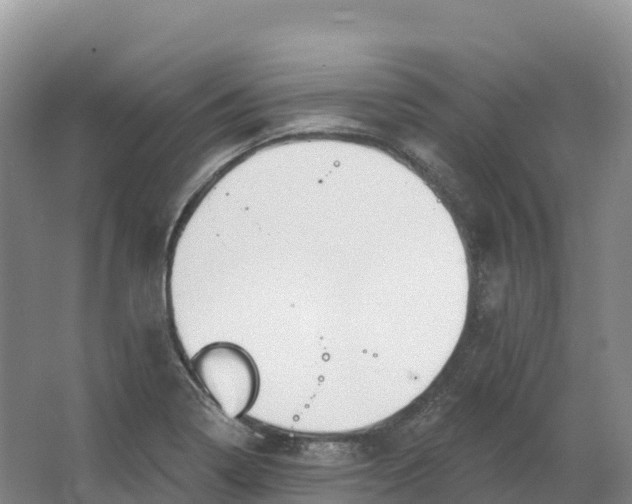 X0000064741322200602241742