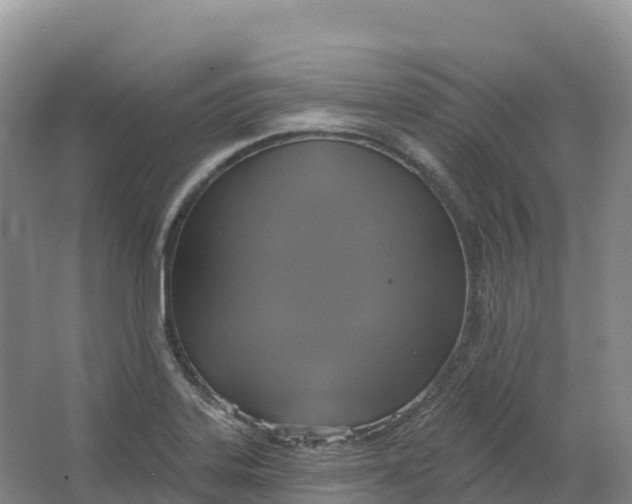 X0000064741323200602241742