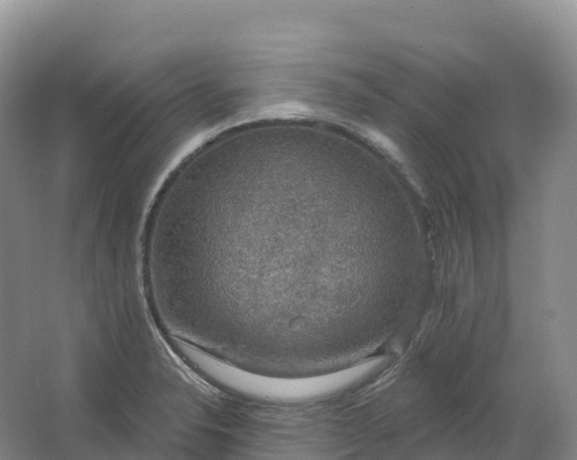 X0000064741326200602241742