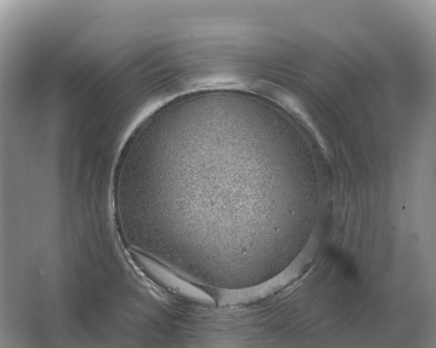 X0000064741328200602241742