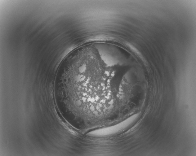 X0000064741329200602241742