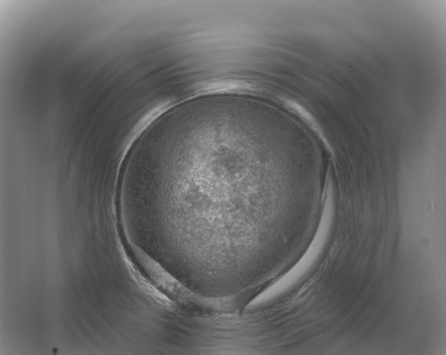 X0000064741330200602241742