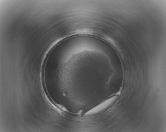 X0000064741331200602241742