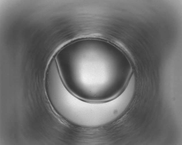 X0000064741332200602241742