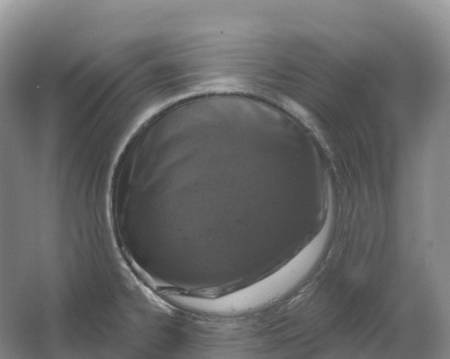 X0000064741334200602241742