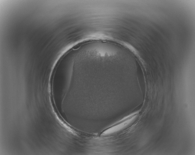 X0000064741335200602241742