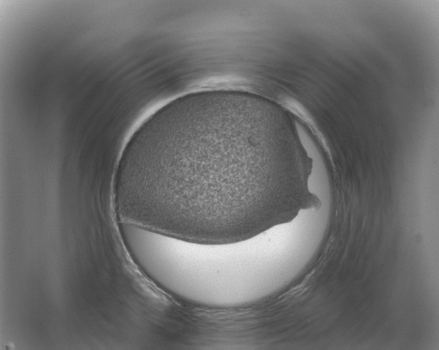 X0000064741336200602241742